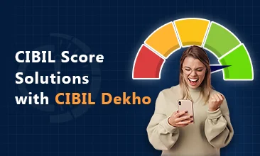 Cibil Score Solutions